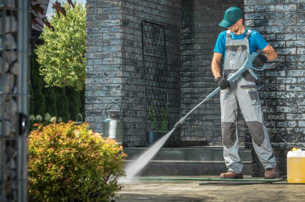 Best Solar Panel Cleaning  in Sterling City, TX